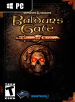 Baldur's Gate: Enhanced Edition