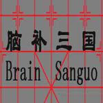 Brain Sanguo