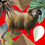 Escapegame DreamlessRoom