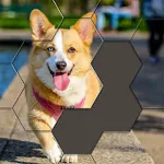 Hexa Puzzle Jigsaw: Anime Collection HD