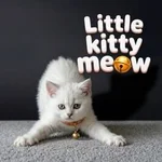 Little Kitty Meow