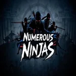 Numerous Ninjas