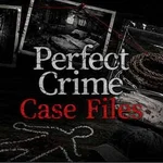 Perfect Crime Case Files