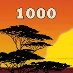 1000 Needles