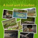 A toad well travelled