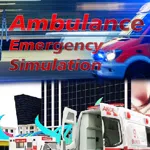 Ambulance Emergency Simulation