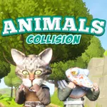 Animals Collision