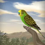 Budgie Genetics Simulator