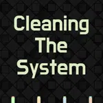 Cleaning The System
