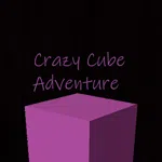 Crazy Cube Adventure