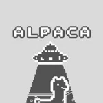 Alpaca Sprint