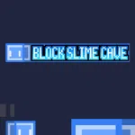 BLOCK SLIME CAVE