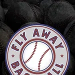 Fly Away Baseball