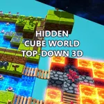 Hidden Cube World Top-Down 3D
