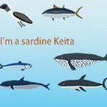 I'm a sardine Keita