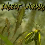 Insect Worlds