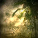 Military Conflict: Vietnam