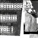 Notebook Entries Vol. 1