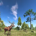 On the Hunt