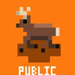 Public Land Hunter