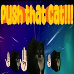 Push That Cat!!