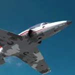 RealFlight Evolution