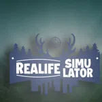 Realife Simulator