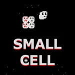 Small Cell