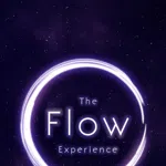 The Flow Experience