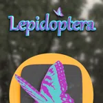 Lepidoptera