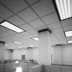 The Suits Have Gone Mad!