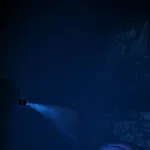 The Trench