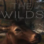 The WILDS