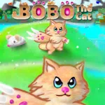 Bobo The Cat