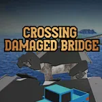 Crossing Damaged Bridge
