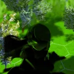 何必江湖 Why To JiangHu