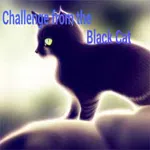 Challenge from the Black Cat