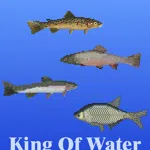 King Of Water