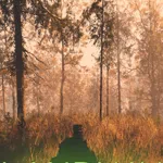 LANDNAV