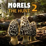 Morels: The Hunt 2