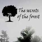 The Secrets of the Forest