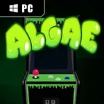 Algae