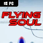 Flying Soul