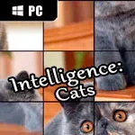 Intelligence: Cats