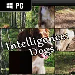 Intelligence: Dogs