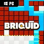Briquid