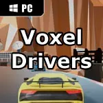 Voxel Drivers