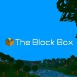 The Block Box