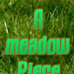 A meadow Piece