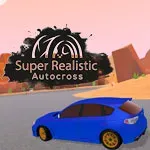Super Realistic Autocross